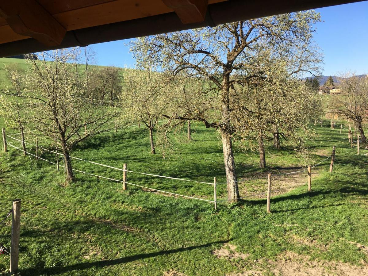 Luxusappartement Zell am Moos Zewnętrze zdjęcie